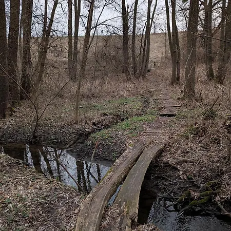 Будиночки Для Відпочинку Трохи Далі Dmitrenki Exterior photo